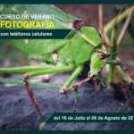 16 de julio 8 agosto