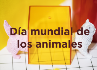 La celebración de nuestros mejores amigos