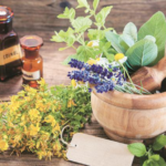 PLANTAS-MEDICINALES