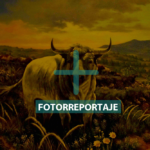 PORTADA FR