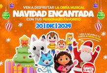 Navidad encantada 20 dic 2024